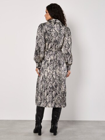 Robe ' ' Apricot en gris