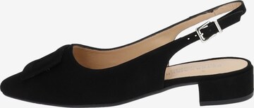 PETER KAISER Pumps in Black