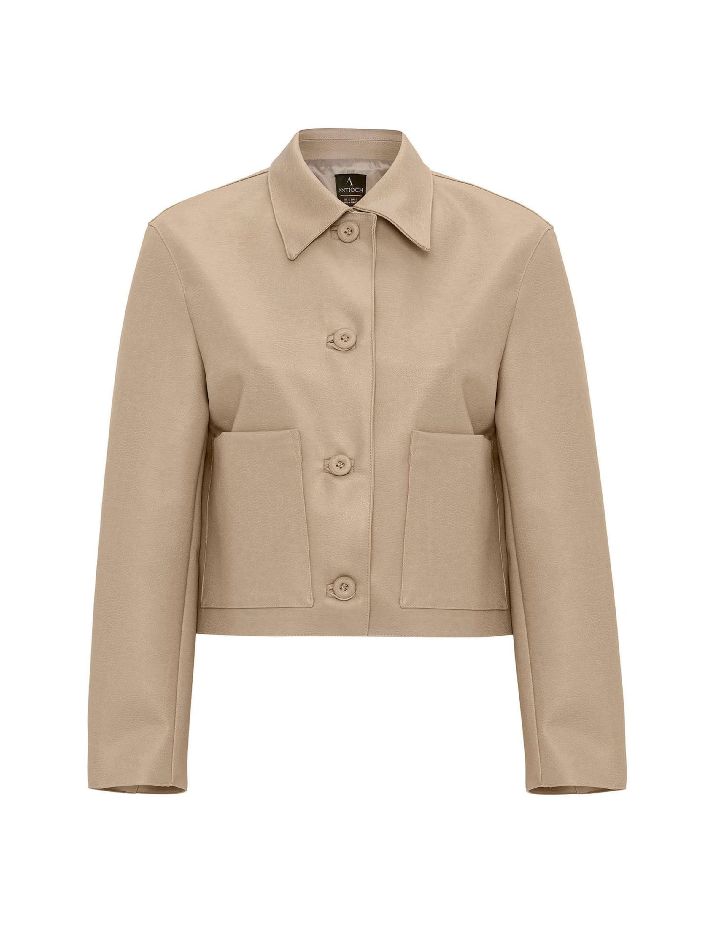 Antioch Jacke in Beige: Vorderseite