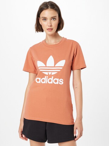 ADIDAS ORIGINALS T-shirt 'Adicolor Classics Trefoil' i brun: framsida