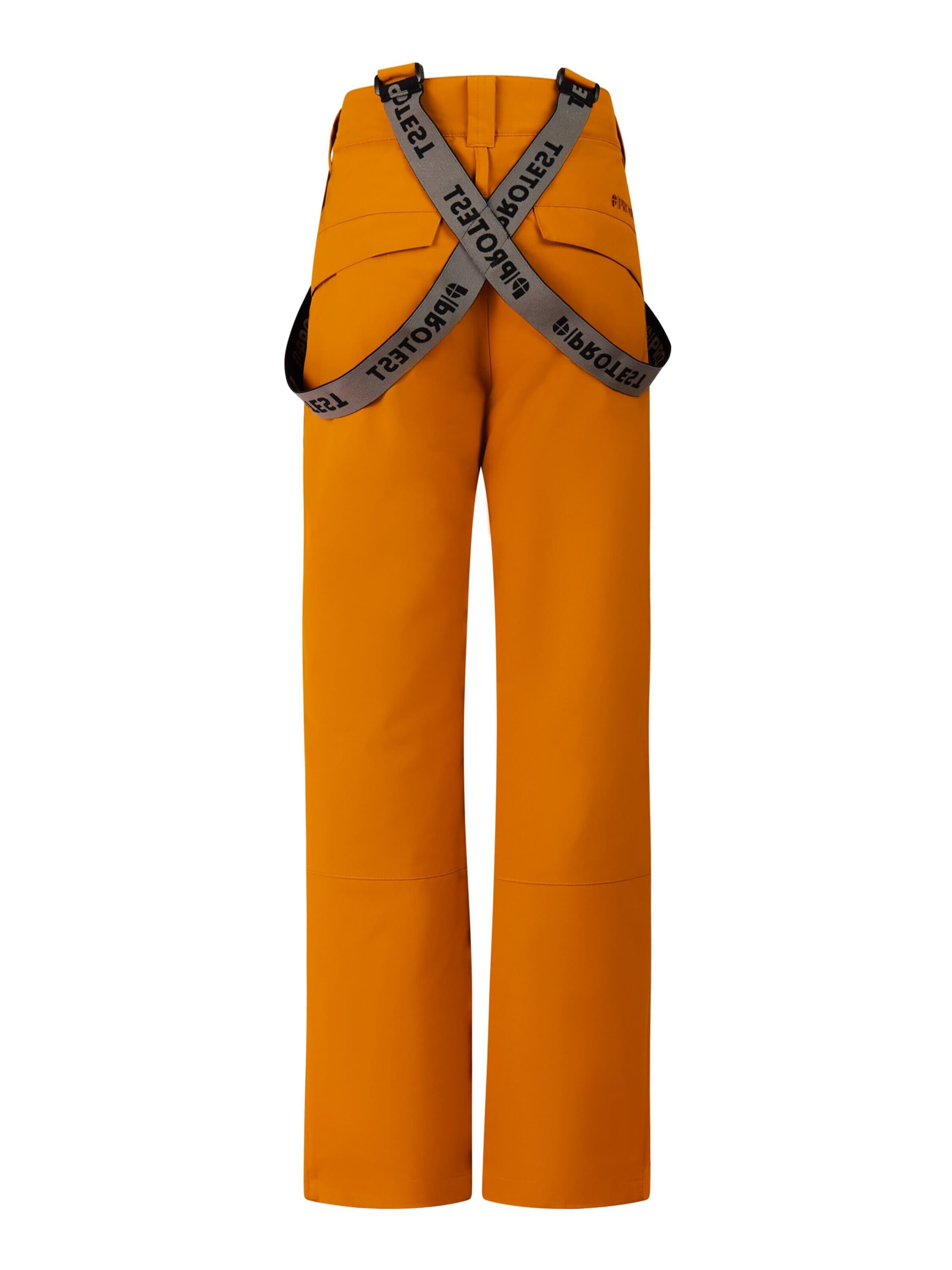 PROTEST Regular Sports trousers 'Spikety JR' in Brown