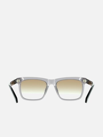 FERRAGAMO Sunglasses 'Ferragamo SF2113S Transparent sage 55/19/145 MAN Sunglasses' in Grey