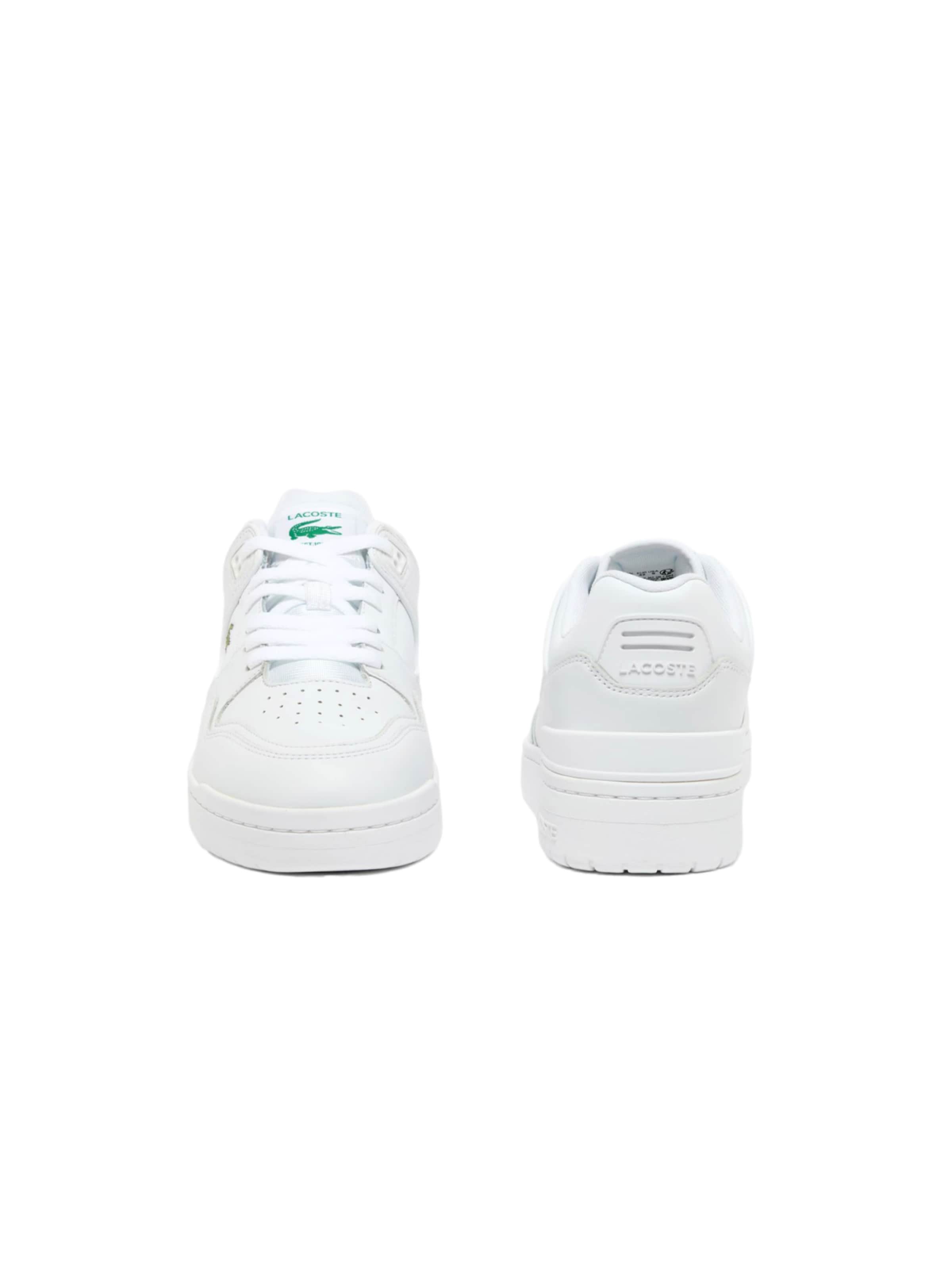 Baskets basses 'Courtcage Set' LACOSTE en blanc
