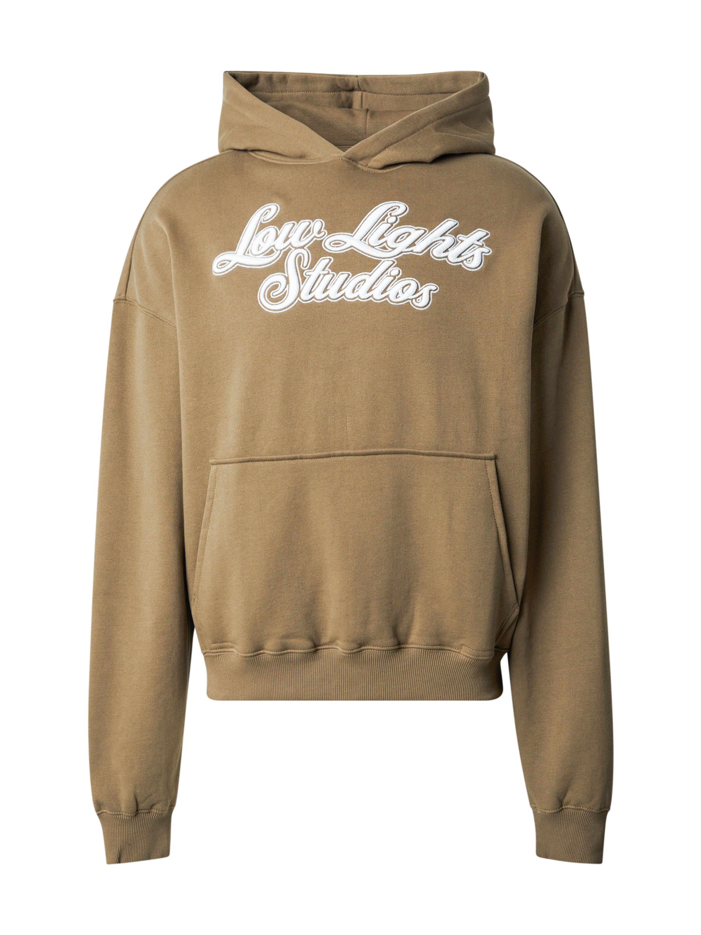 Low Lights Studios Sweatshirt 'Shutter' in Grün: Vorderseite