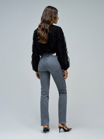 Salsa Jeans Skinny Jeans Secret in Grau