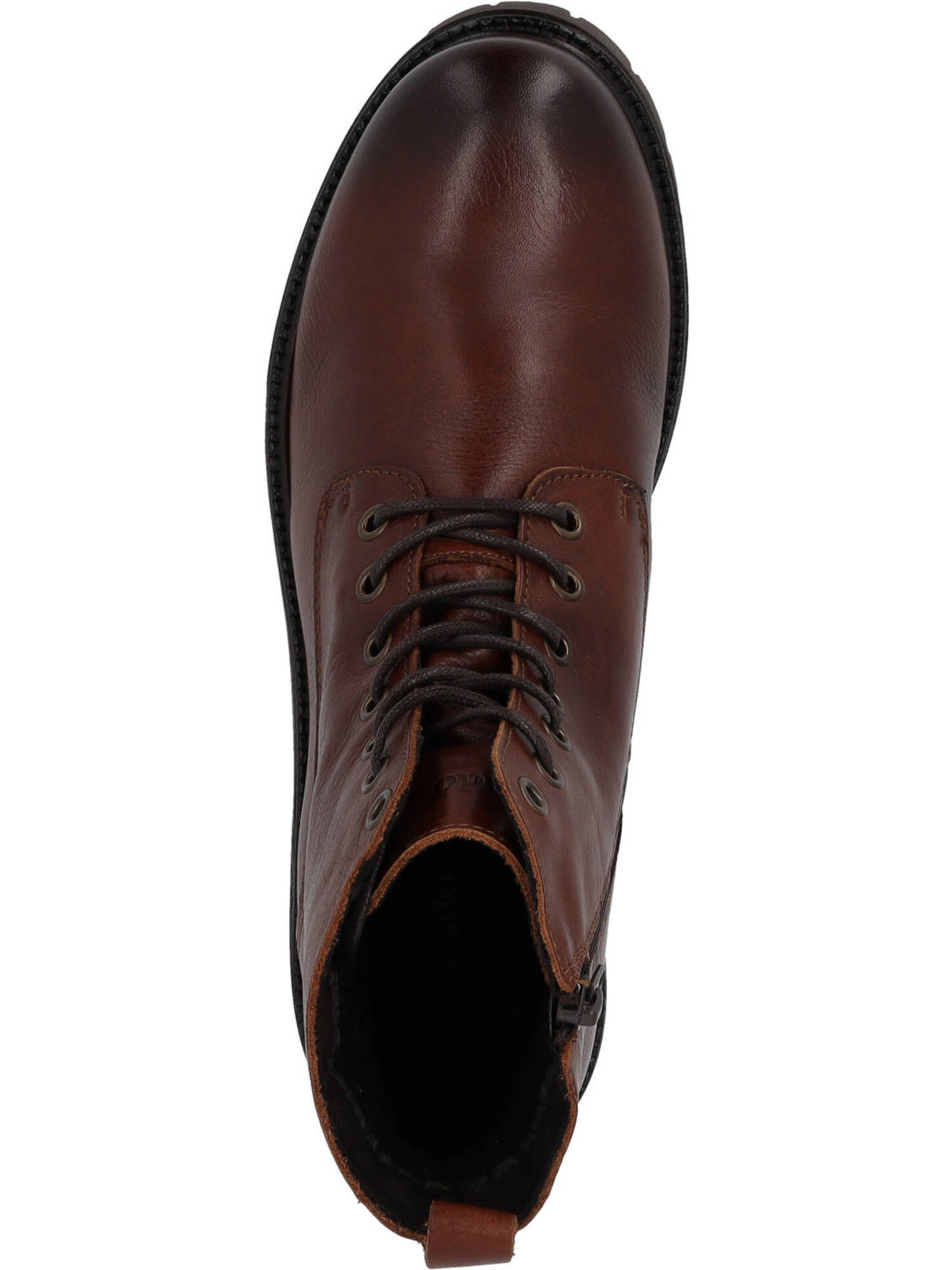 Palado Сапоги на шнуровке в Коричневый