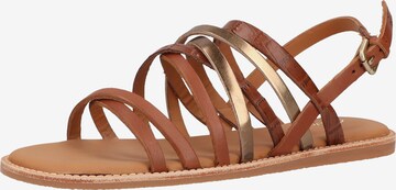 Sandales à lanières 'Karsea Ankle' CLARKS en marron : devant