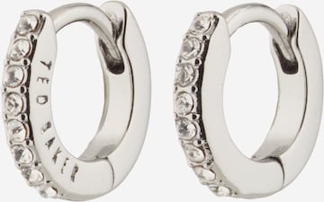 Ted BakerNaušnice 'HETTIE' - srebro boja: prednji dio