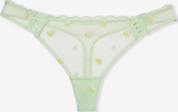 String di ETAM in verde: frontale