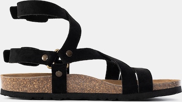 Sandalo con cinturino 'Armidale' di Bayton in nero