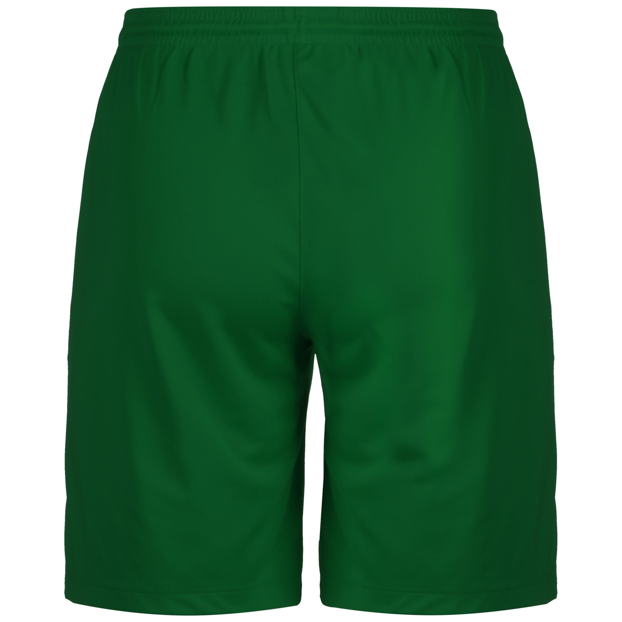 NIKE Regular Workout Pants 'Park III' in Green