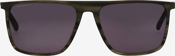 FREIGEIST Sunglasses in Green: front