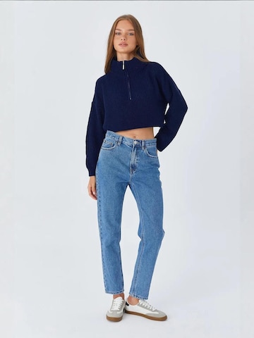 Pullover 'Pullover' di MixRay in blu