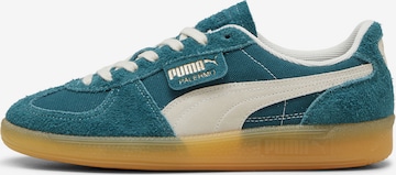 PUMA Sneaker 'Palermo' in Grün: Vorderseite