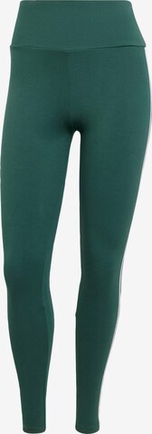 Leggings di ADIDAS ORIGINALS in verde: frontale