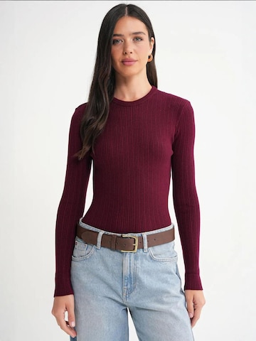 MixRay Sweater in Red: front