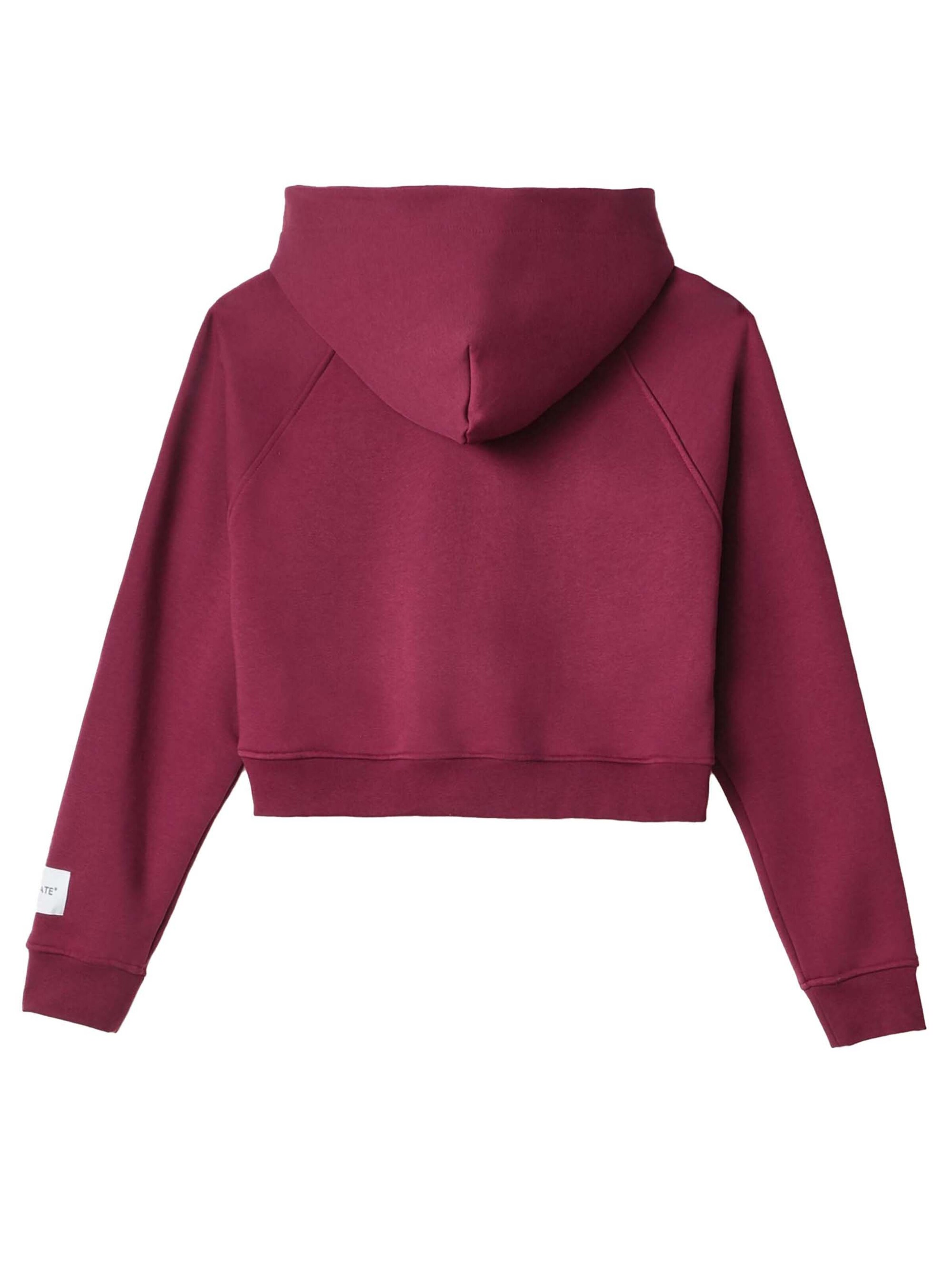 HINNOMINATE Sweatshirt in Red