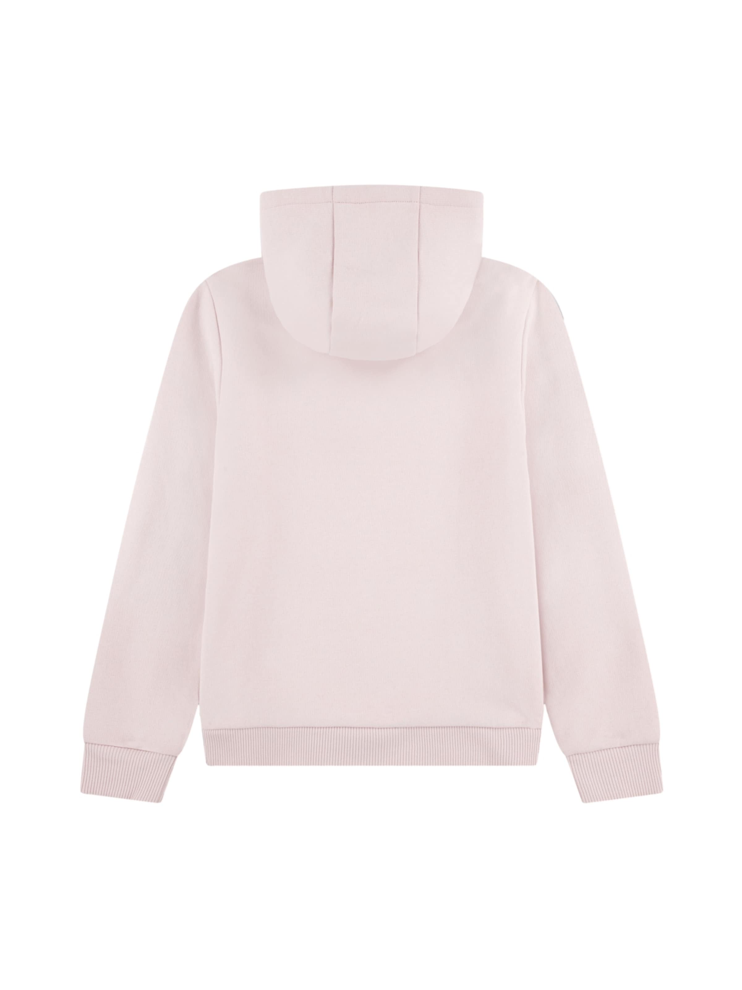 LACOSTE Sweatshirt 'LCB Core' in Pink