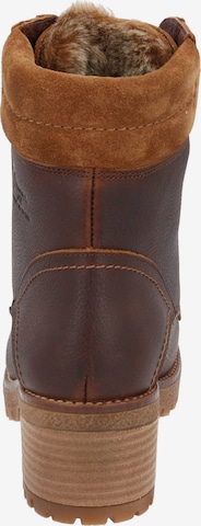 PANAMA JACK Ankle Boots 'Phoebe' in Brown