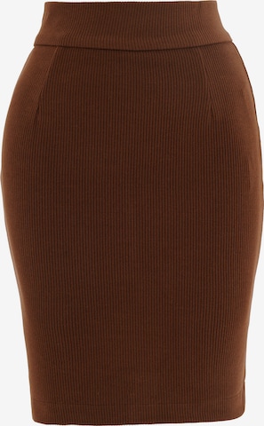 FRESHLIONS Skirt in Brown: front