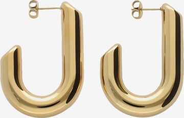 My Jewellery Earrings in Gold: front