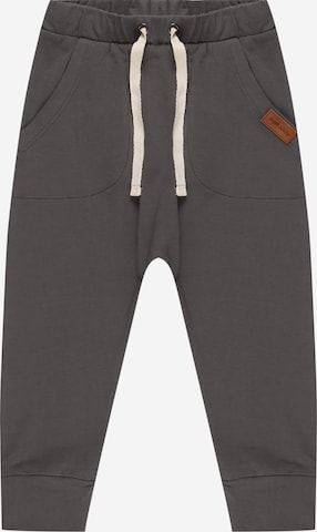 Walkiddy Pants in Grey: front