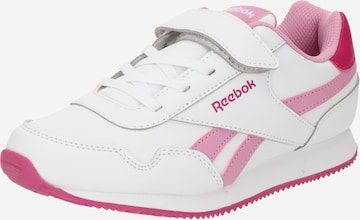 Reebok Sneaker 'ROYAL CL' in Weiß: predná strana