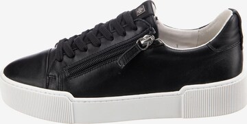 Högl Sneakers 'Comfy' in Black