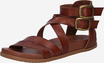 Blowfish Malibu Sandalen met riem 'CANDIE' in Bruin: voorkant