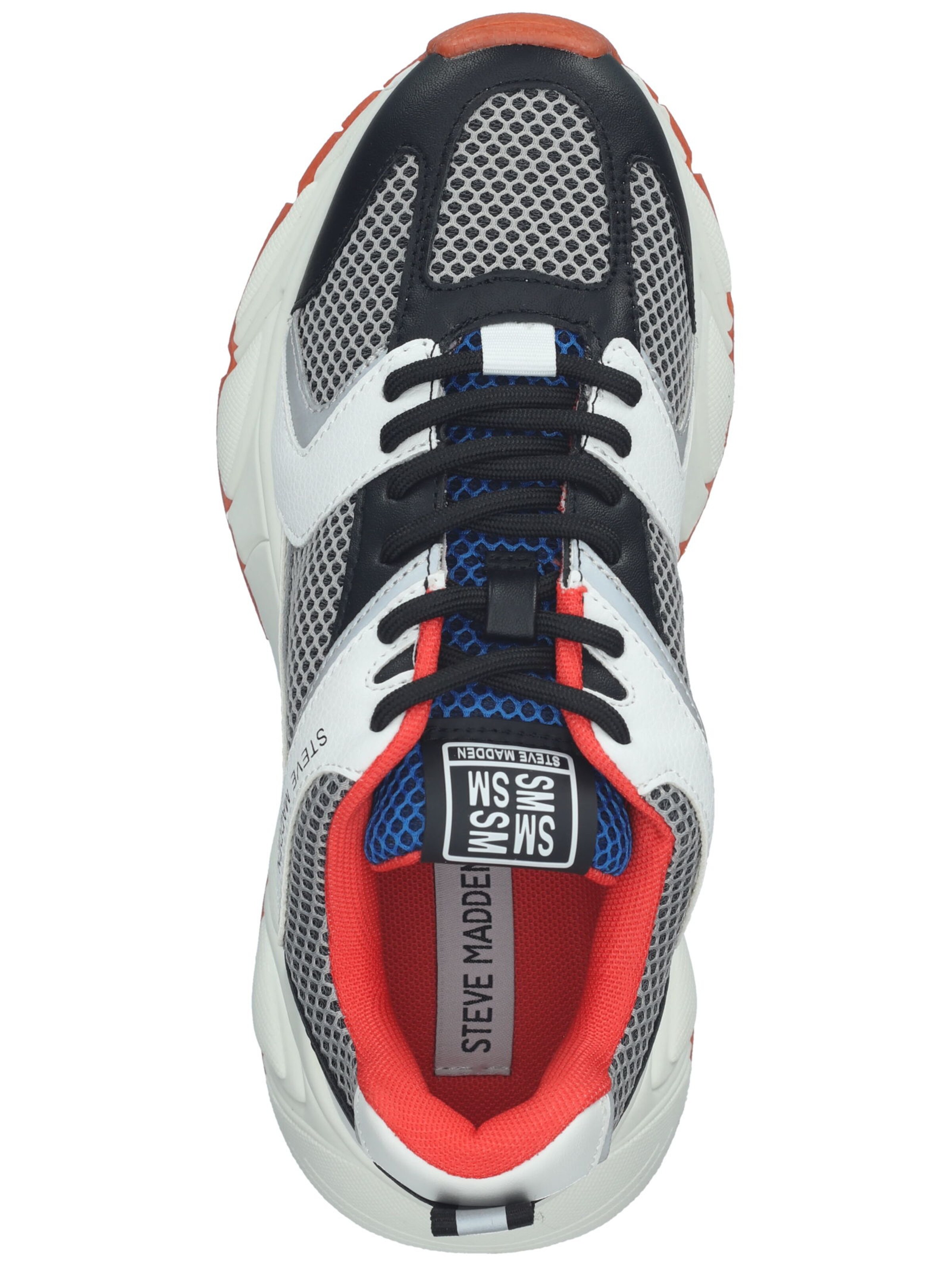 STEVE MADDEN Sneakers in Mixed colors