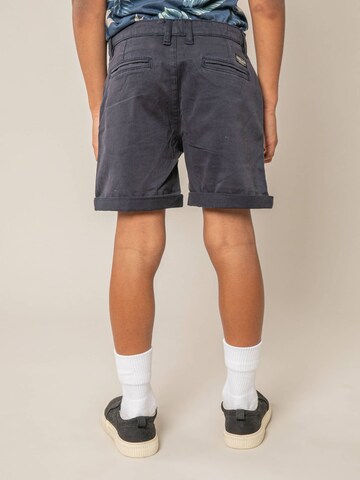 Regular Pantalon 'VARTY' Deeluxe en bleu