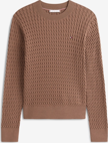 brūns TOMMY HILFIGER Džemperis: no priekšpuses