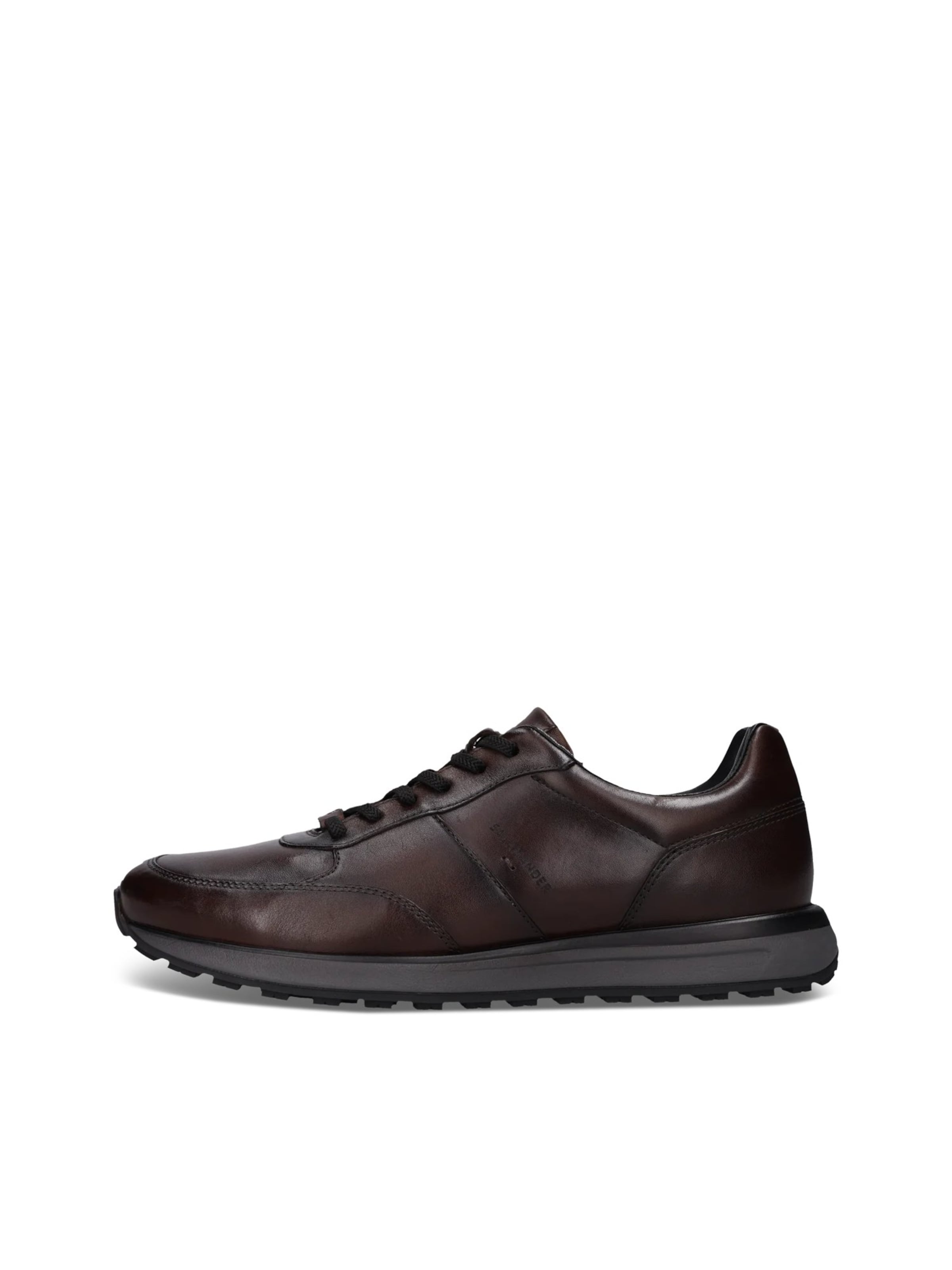 SALAMANDER - Zapatillas deportivas bajas en marrón