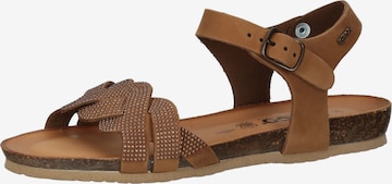 IGI&CO Strap Sandals in Brown: front