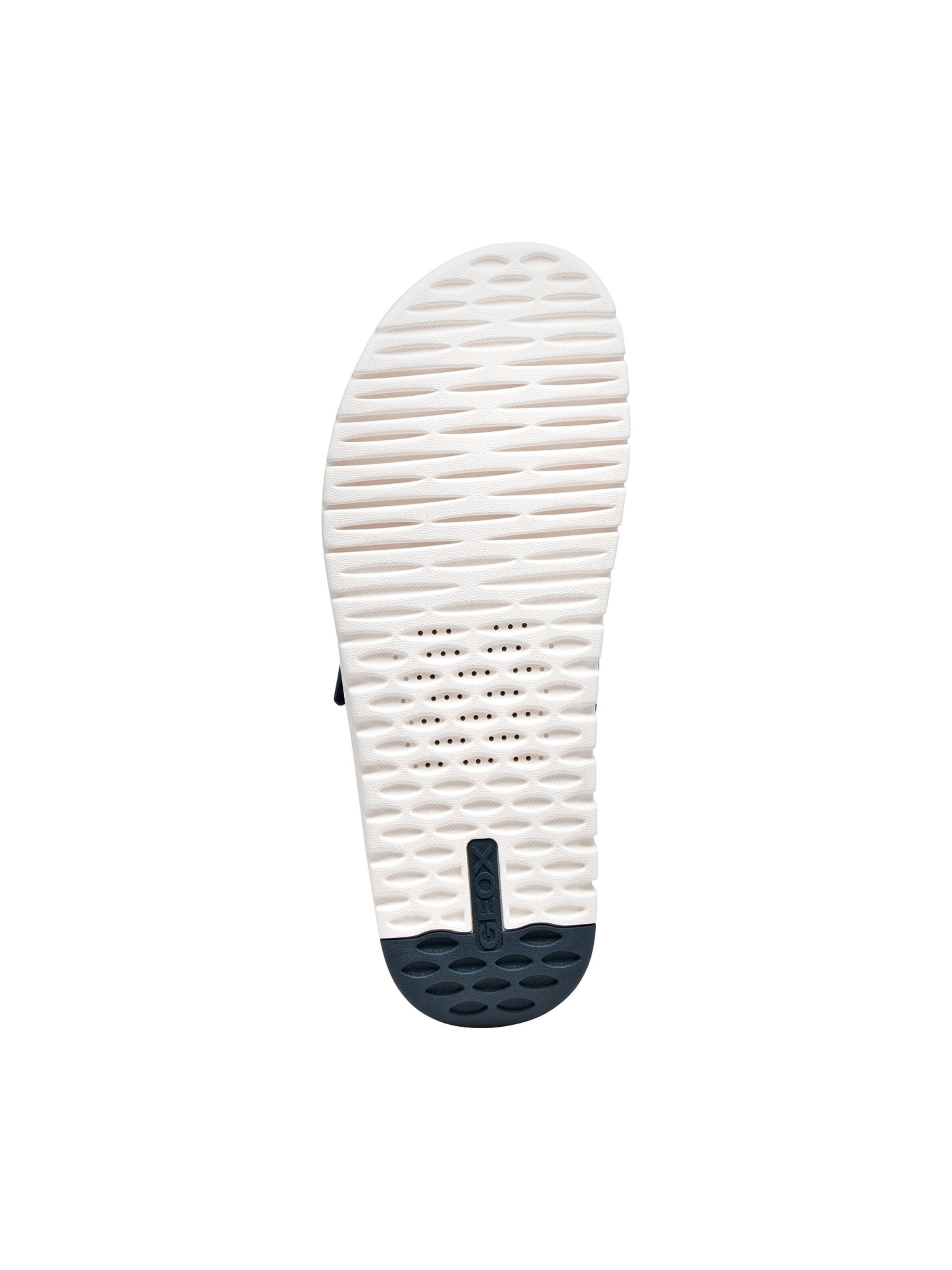 GEOX Pantolette‌‌‌‌‌‌‌‌‌ in Blau