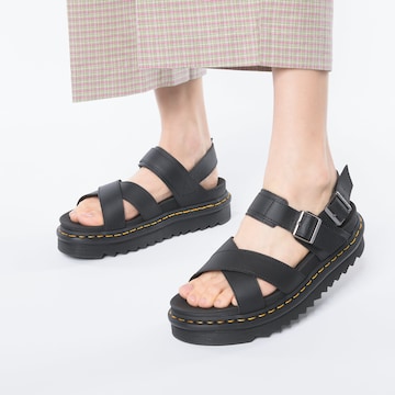 Dr. Martens Sandalen met riem 'Voss II' in Zwart