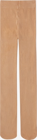 CALZEDONIA Tights in Beige: front