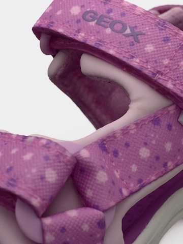 GEOX Σανδάλι 'BOREALIS' σε ροζ