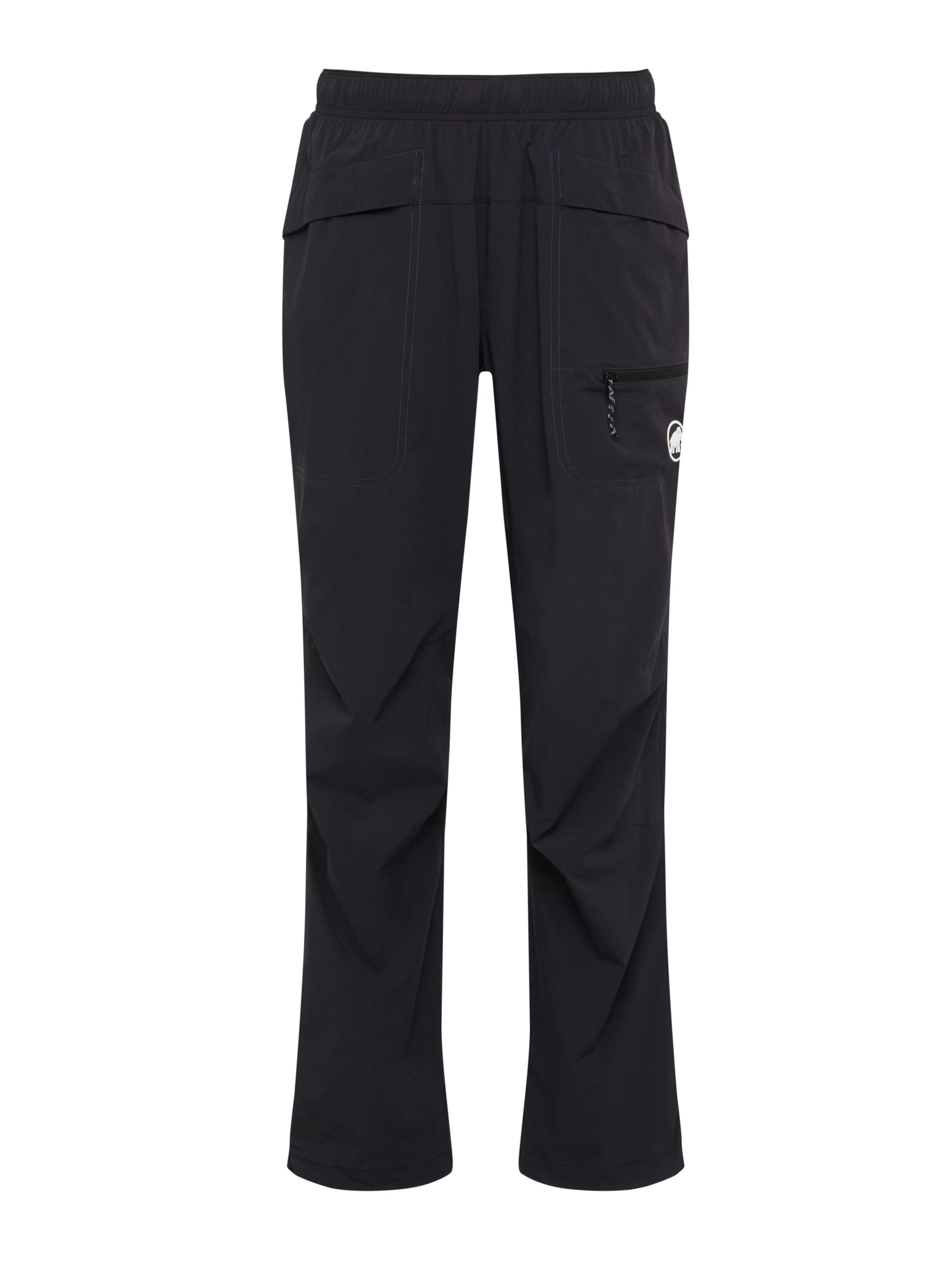 MAMMUT Regular Outdoor Pants in Black: front