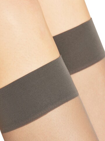 FALKE Knee High Socks 'Seidenglatt' in Grey