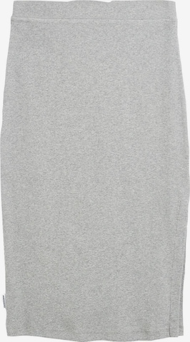 ARMEDANGELS Skirt in Grey: front