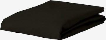 ESSENZA Bed Sheet in Black: front