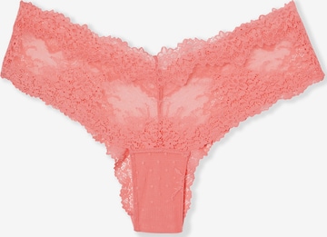 ETAM Panty 'Emma' in Pink: Vorderseite