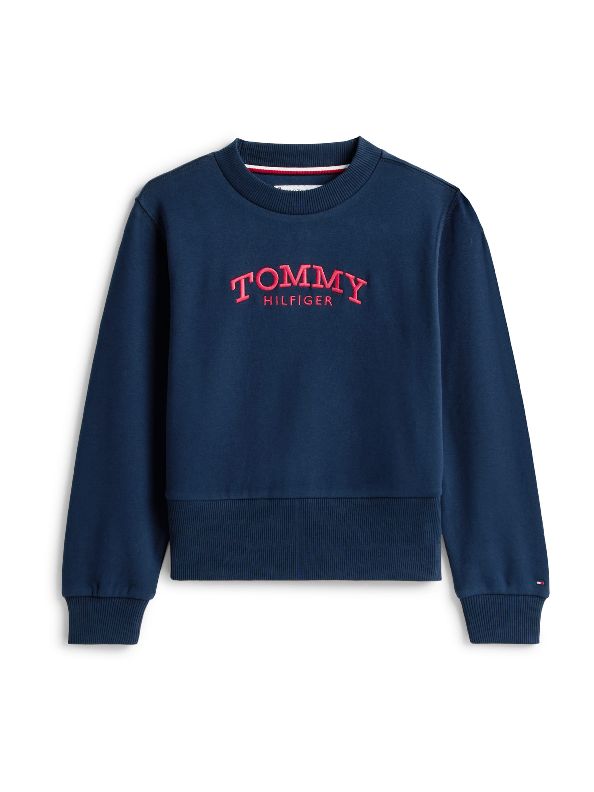 TOMMY HILFIGER Mikina – modrá: přední strana