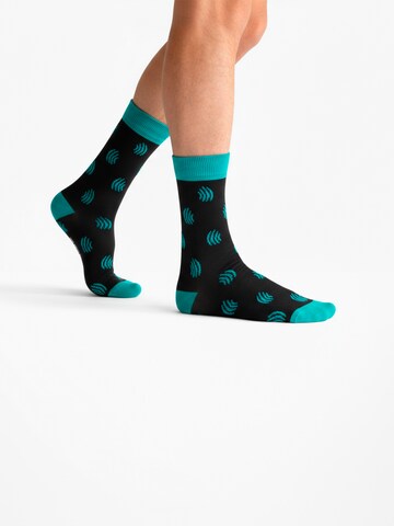 The Arctic Bay - Calcetines 'AUSTRAL EDITION Gift box 4 Pack Unisex' en Mezcla de colores
