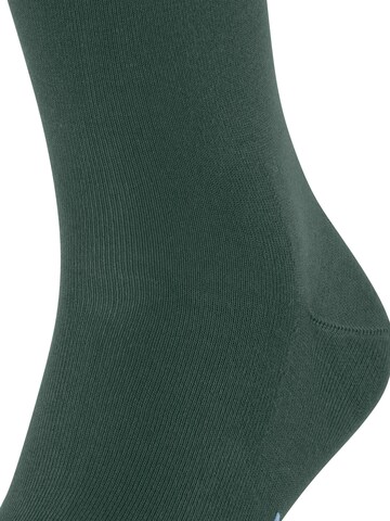 FALKE Socks 'Cool 24/7' in Green