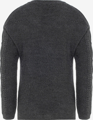 Jimmy Sanders Sweater 'Ahri' in Grey