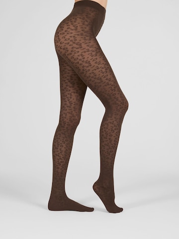 camano Fine tights in Brown