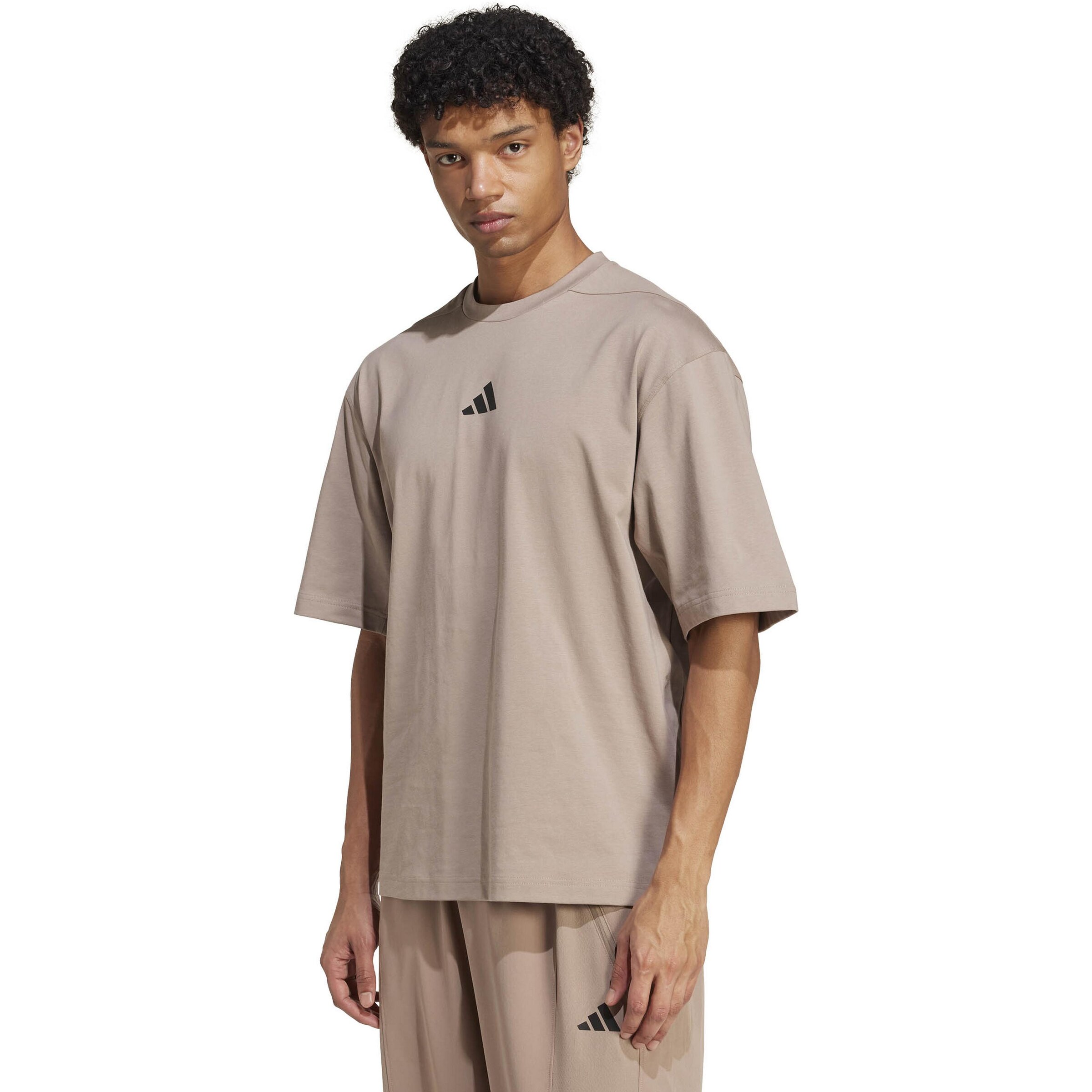 ADIDAS PERFORMANCE Performance Shirt in Grey: front