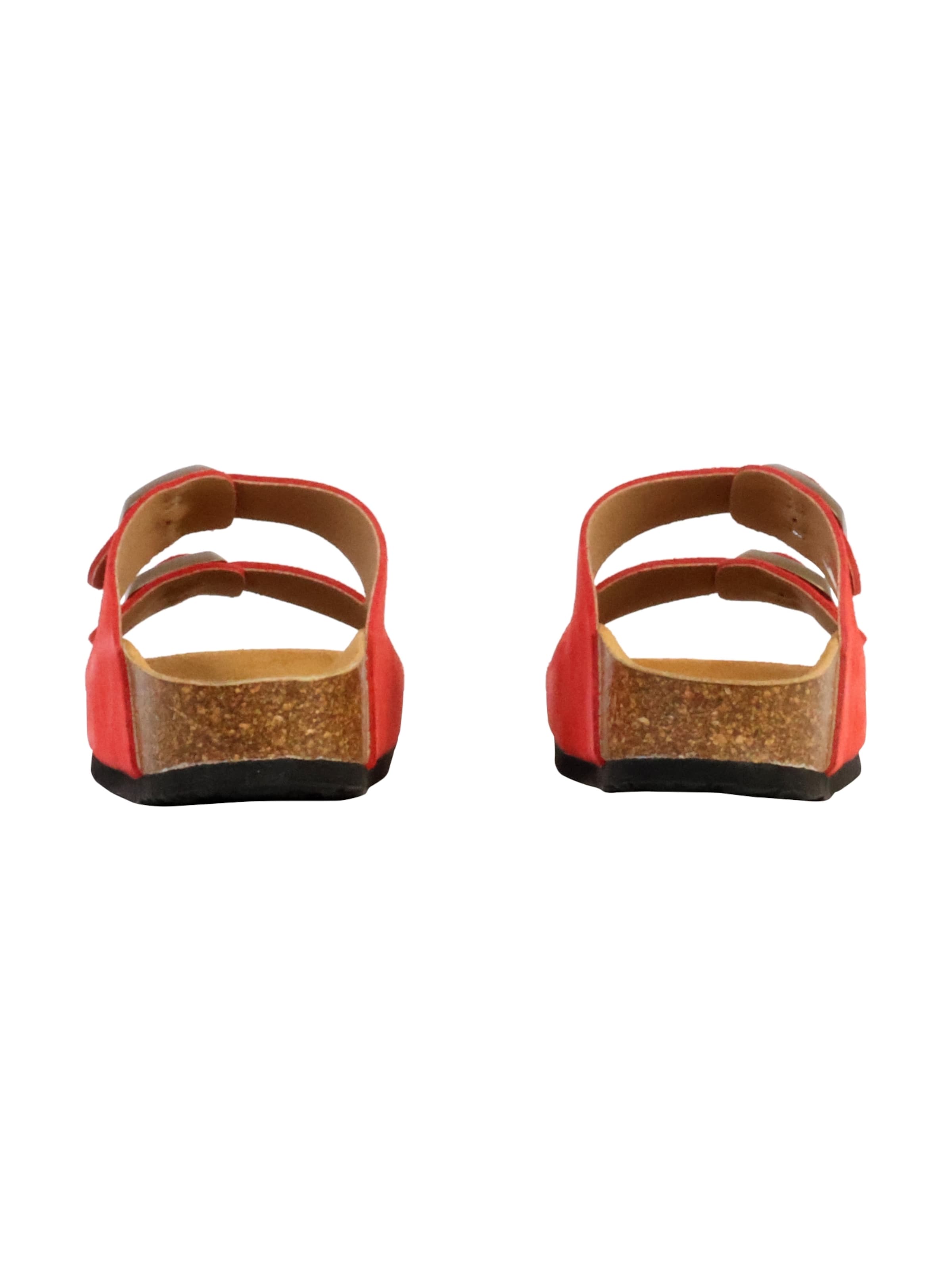Plakton Muiltjes in Rood